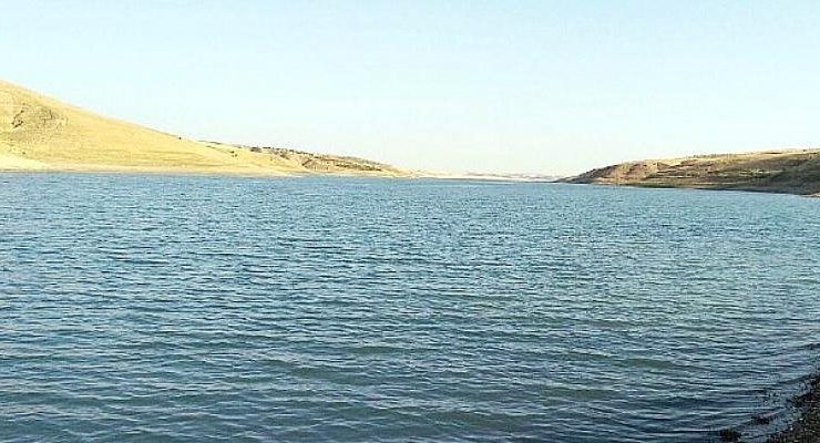 Harran Üniversitesi, Fırat Nehrinde Tehdit Oluşturan İstilacı Sazan Balıkları İçin Proje Üretiyor